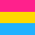 Pansexual (queer)