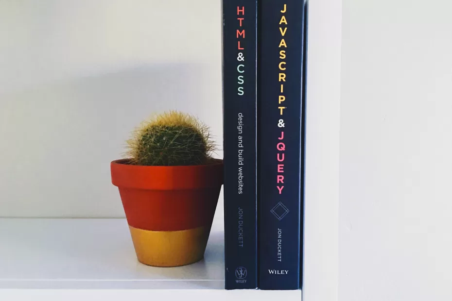 Website design books next to a cactus.