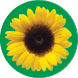 The Hidden Disabilities Sunflower logo, a yellow sunflower in full bloom viewed from above on a green background.