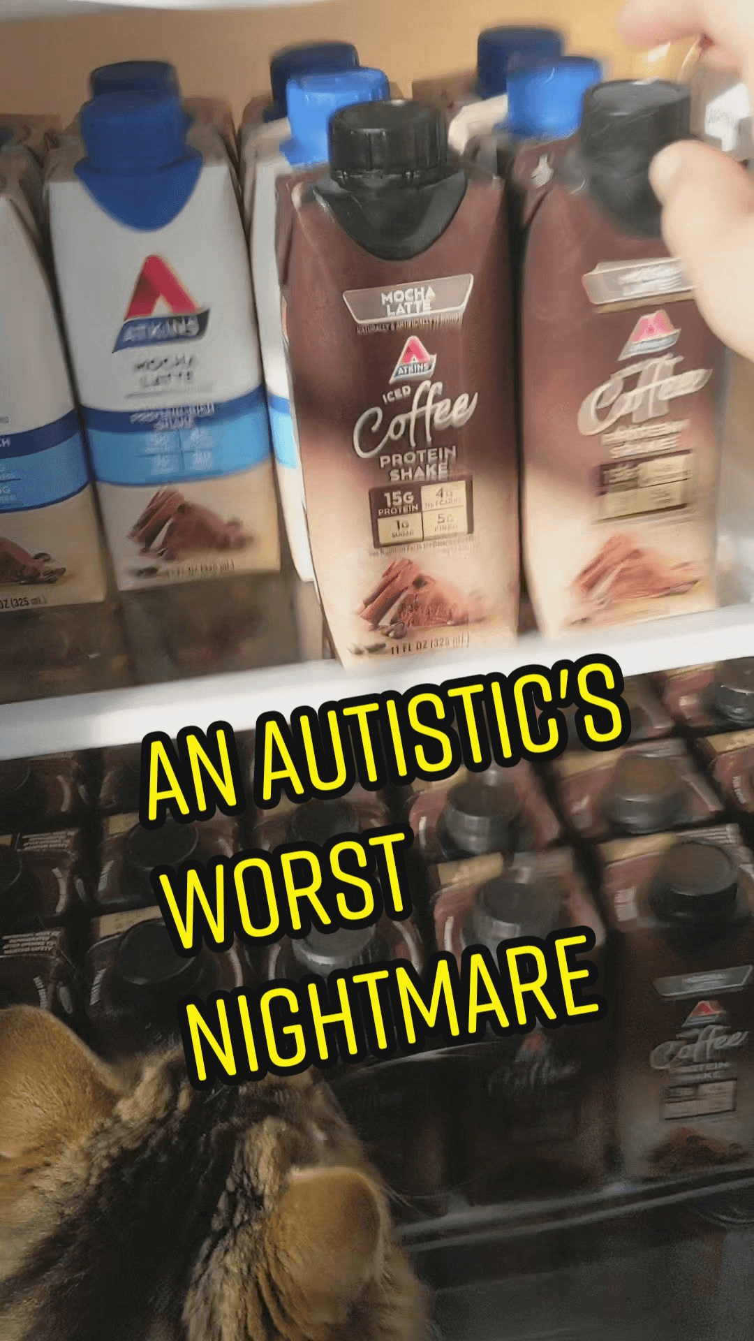 Watch An Autistic's Worst Nightmae