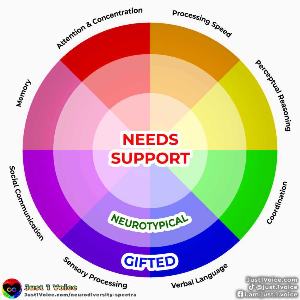 There are 8 categories: attention & concentration, processing speed, perceptual reasoning, coordination, verbal language, sensory processing, social communication, and memory. For each category, there are 3 levels (or rings). The innermost ring is labeled as "needs support" while the middle level is "neurotypical" and the outermost level is "gifted."