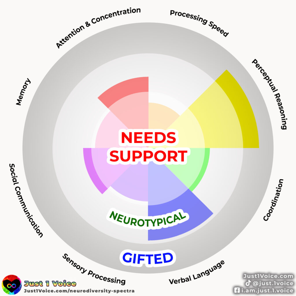 This wheel shows an individual mapping using colors to indicate where their individual cognitive ability is currently at. In this graphic, the attention & concentration is neurotypical; processing speed needs support. Perceptual reasoning is gifted. Coordination is neurotypical but on the lower end. Verbal language is neurotypical but on the higher end. Sensory processing needs support but only just. Social communication is neurotypical but only just. Memory needs support.